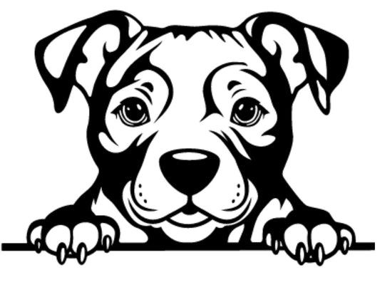 Decal - Pets - Staffy puppy