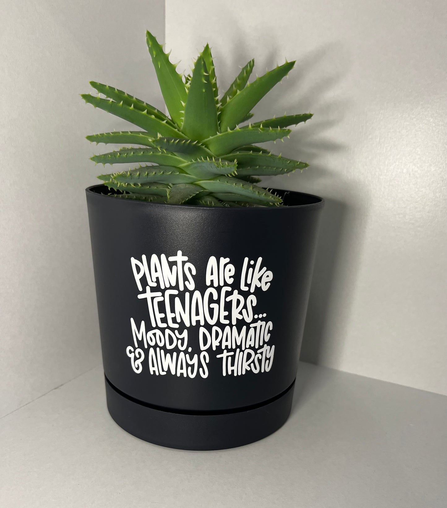 Plant Pot - Round 12cm - Plants are like teenagers