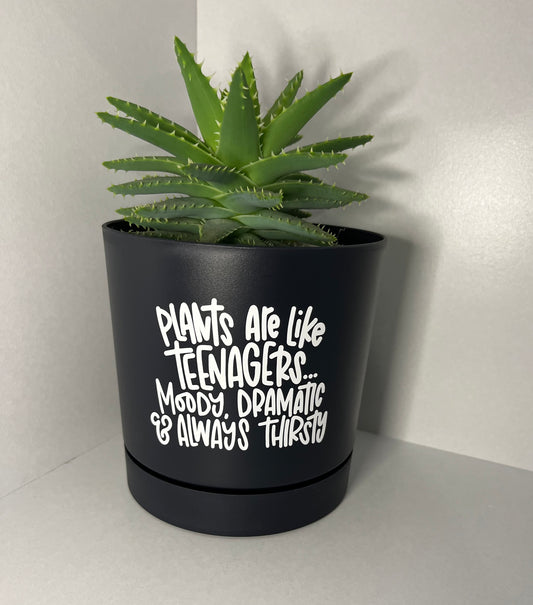 Plant Pot - Round 12cm - Plants are like teenagers