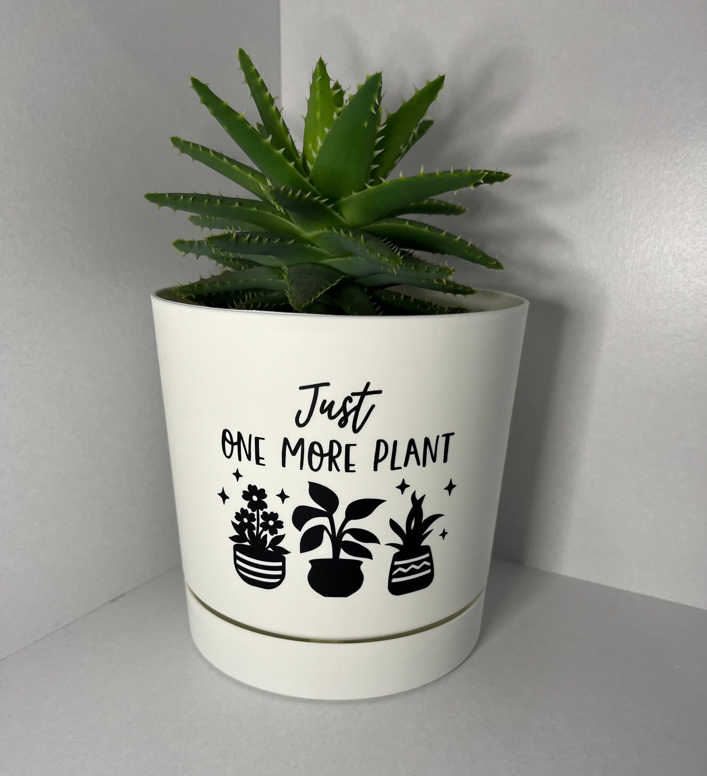 Plant Pot - Round 12cm - Just one more