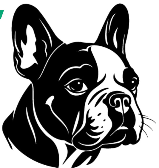 Decal - Pets - Boston Terrier