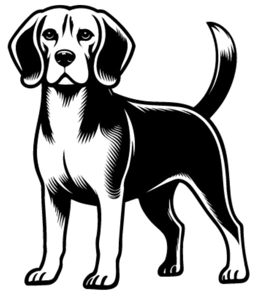 Decal - Pets - Beagle